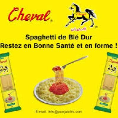 Spagneti cheval