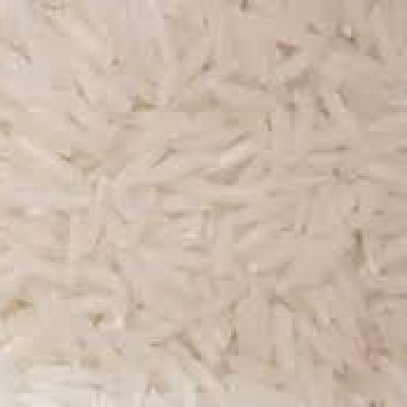 RIZ SIAM