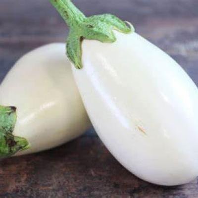 AUBERGINE BLANC
