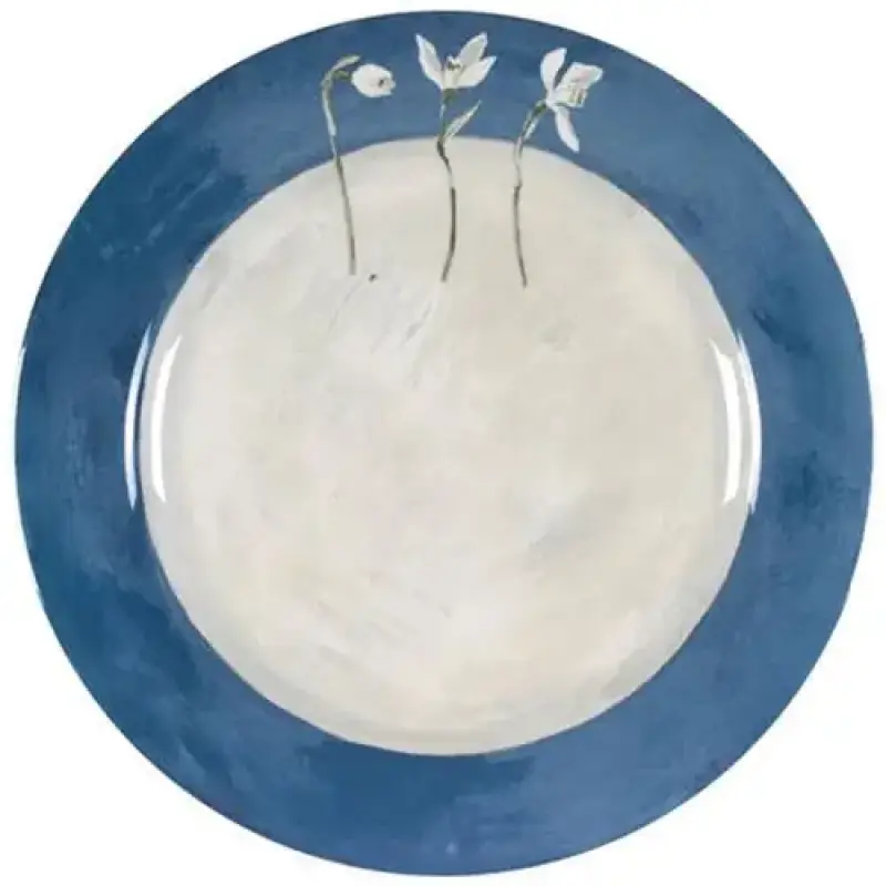 ASSIETTES SIMPLE 2 PIECES