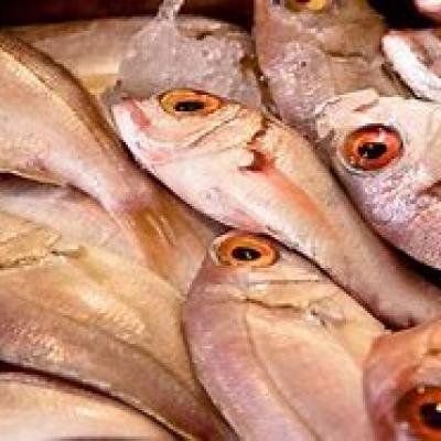 POISSON FRAIS