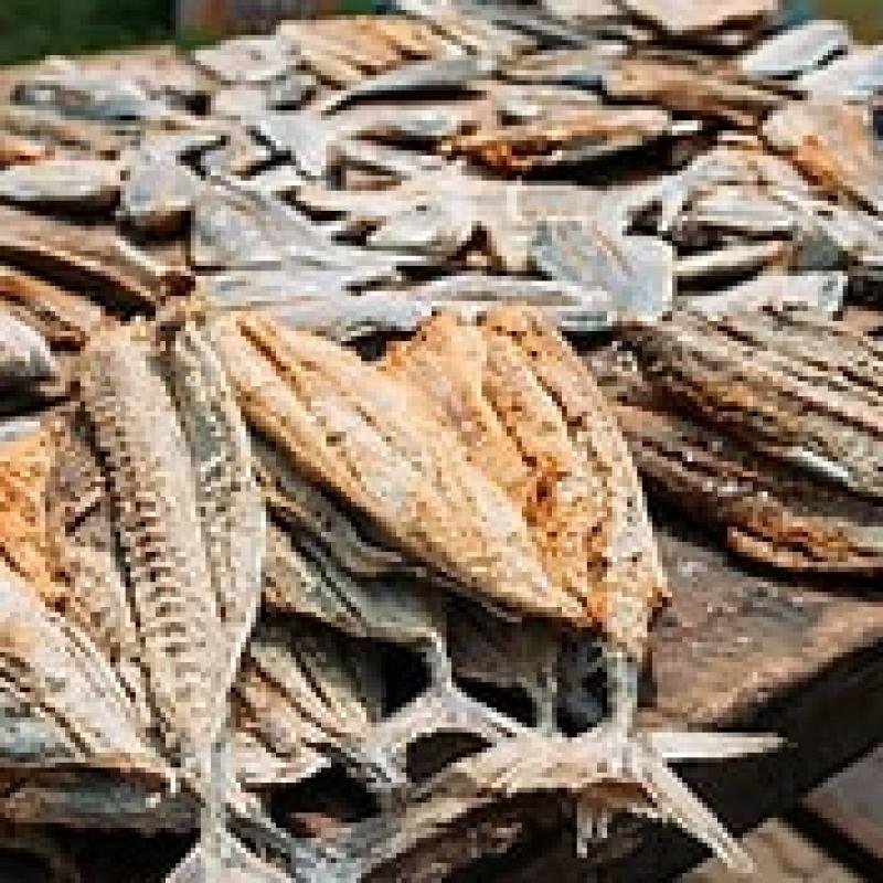 Poisson séché