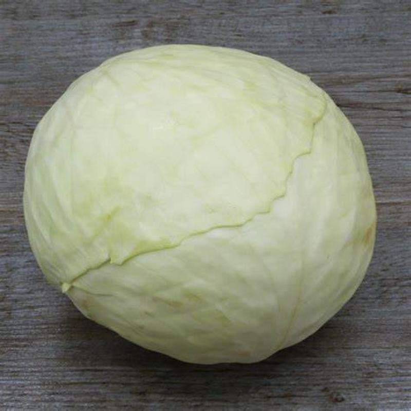 CHOU BLANC