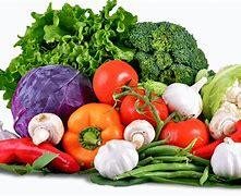 LEGUME