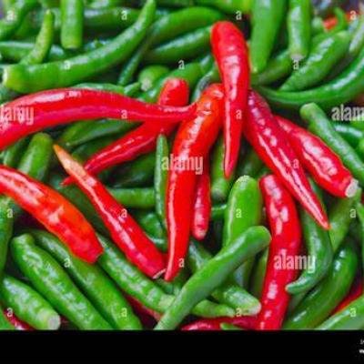 PIMENT
