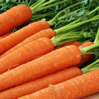 CARROTE