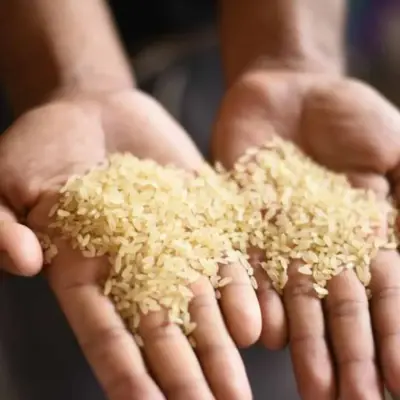 RIZ DU PAYS
